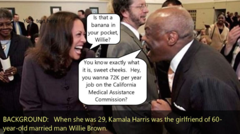 THE DON SAYS KAMALA’S ‘ENTIRE POLITICAL CAREER BASED ON SUCKING WILLIE BROWN’S DING DONG AND PANDERING TO BIG TECH OLIGARCHS’